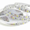 5M RGBW 5050 LED Strip Light IP30/67 DC12V SMD RGB White/WW Light